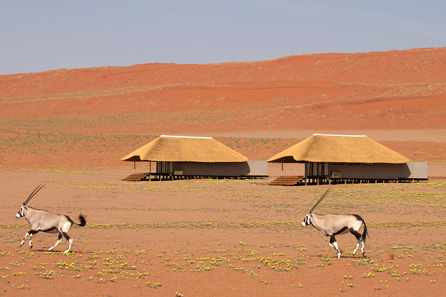 13 Days Perfect Namibia Desert Safari and Namibia Wildlife Safari Expedition Combo